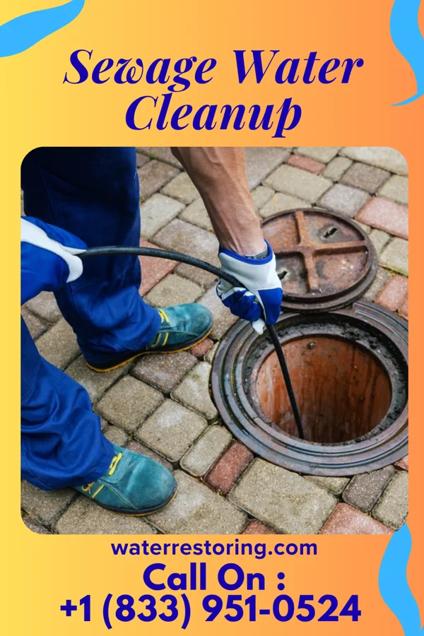 Sewage Water Cleanup in Batchtown, IL